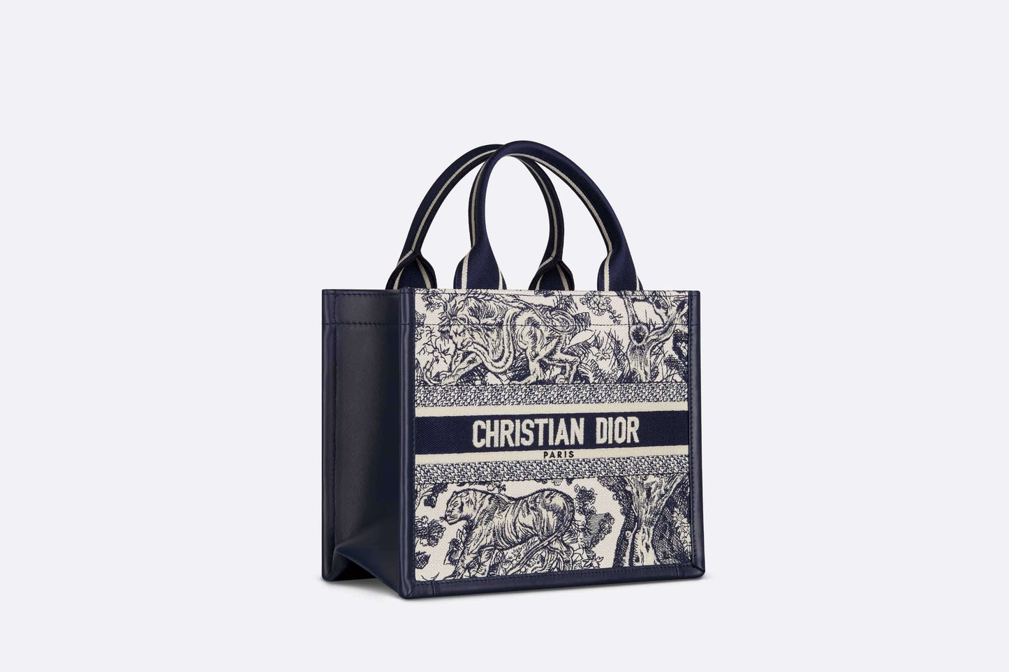 Dior Book Tote Leather Mini Tote Bag