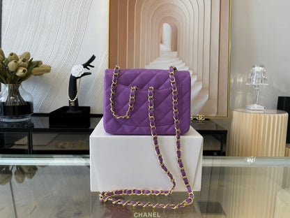 Chanel Luxury Handbag Style 450