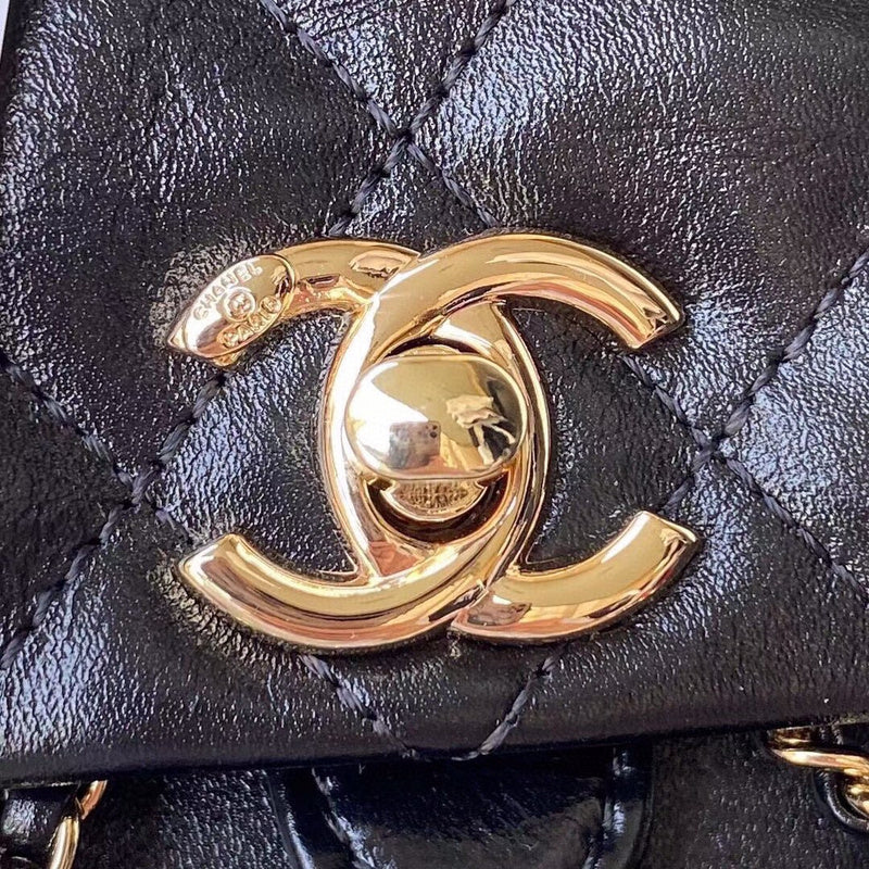Chanel Luxury Handbag Style 160