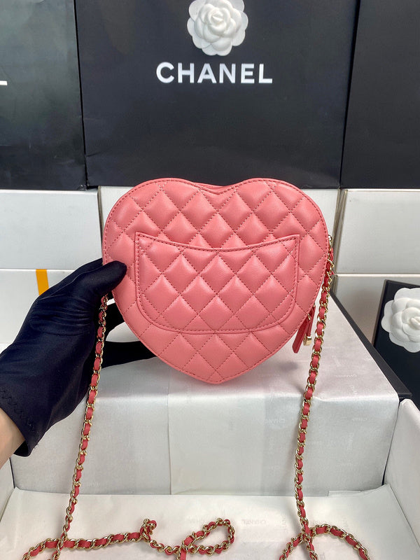 Chanel Luxury Handbag Style 198