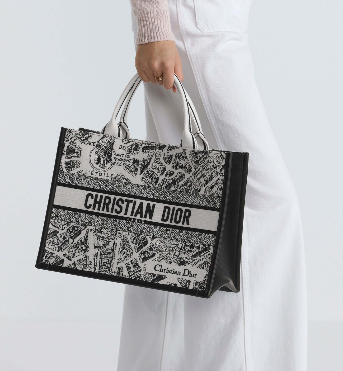 Dior Book Tote Leather Mini Tote Bag