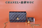 Chanel Luxury Handbag Style 177