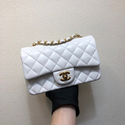 Chanel Luxury Handbag Style 172