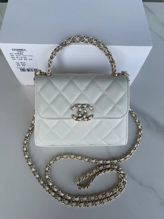 Chanel Luxury Handbag Style 113