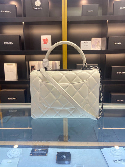 Chanel Luxury Handbag Style 307