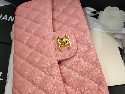 Chanel Luxury Handbag Style 339