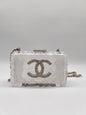Chanel Luxury Leather Handbag Style 2