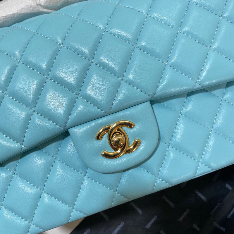 Chanel Luxury Handbag Style 209