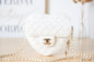 Chanel Luxury Handbag Style 442