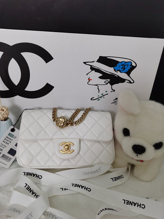 Chanel Luxury Handbag Style 111