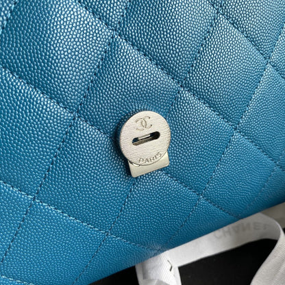 Chanel Luxury Handbag Style 503