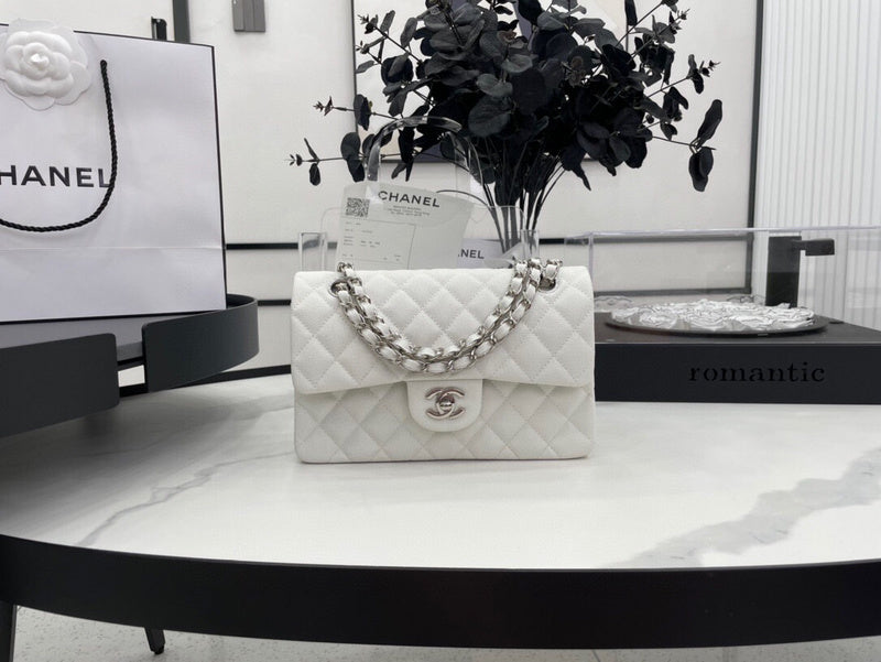 Chanel Luxury Handbag Style 170