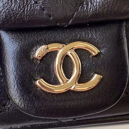 Chanel Luxury Handbag Style 160
