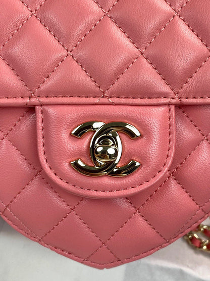 Chanel Luxury Handbag Style 198