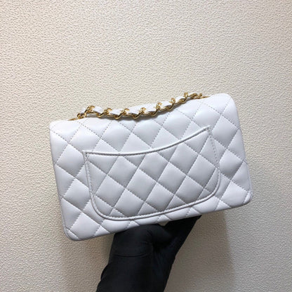 Chanel Luxury Handbag Style 172
