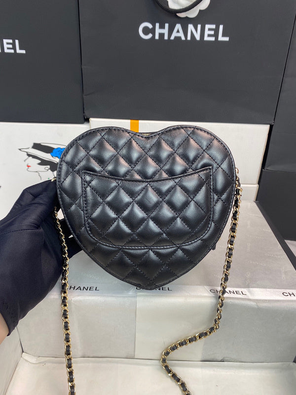 Chanel Luxury Handbag Style 194