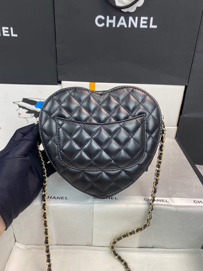 Chanel Luxury Handbag Style 194