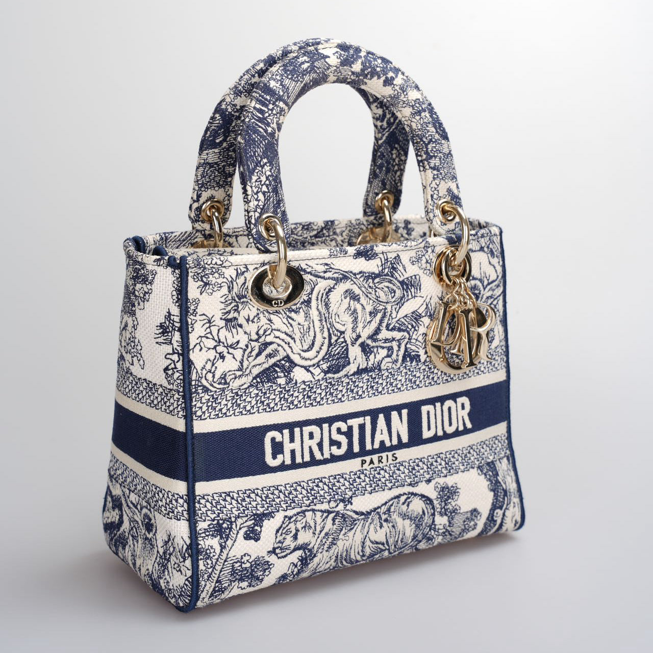 Christian Dior Lady Dior D-Lite Bag Medium In Canvas