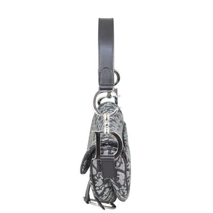 Dior Saddle Bag