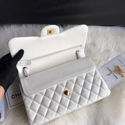 Chanel Luxury Handbag Style 249