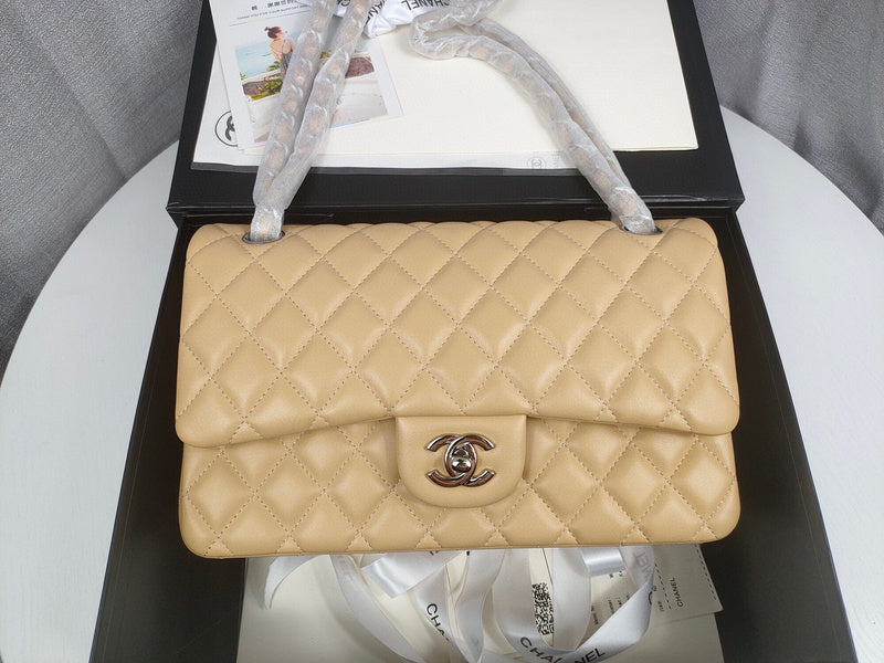 Chanel Luxury Handbag Style 227