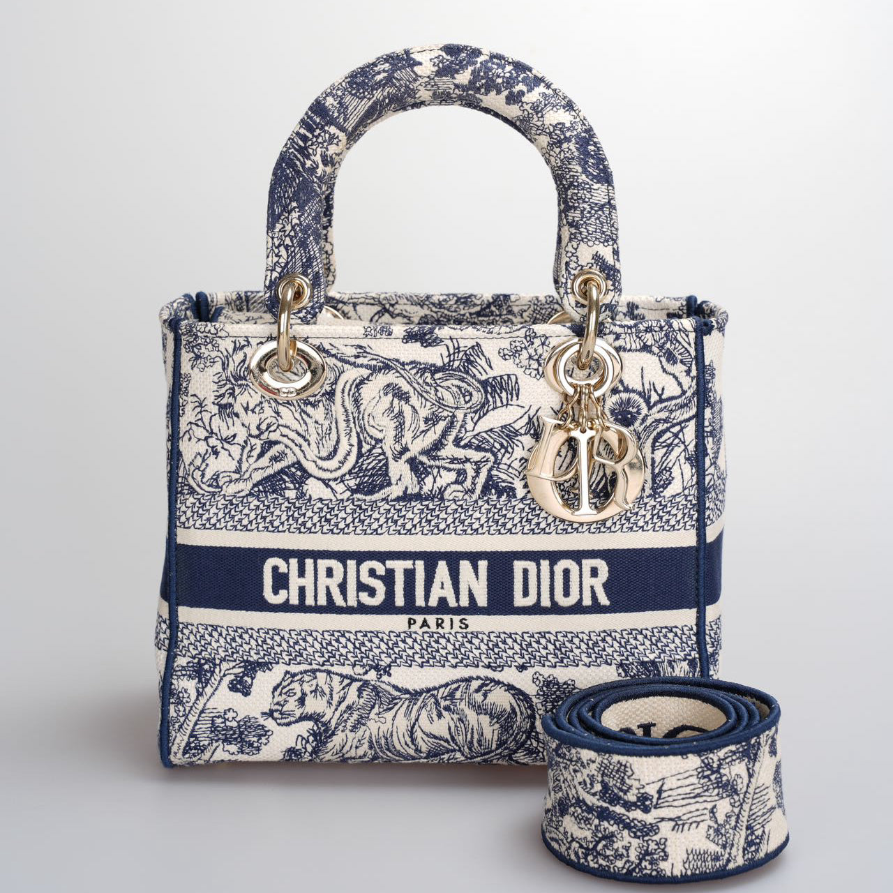 Christian Dior Lady Dior D-Lite Bag Medium In Canvas