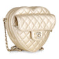 Chanel Luxury Lambskin Gold Handbag Style 9