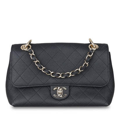 Chanel Chanel Seasonal Flap Bag