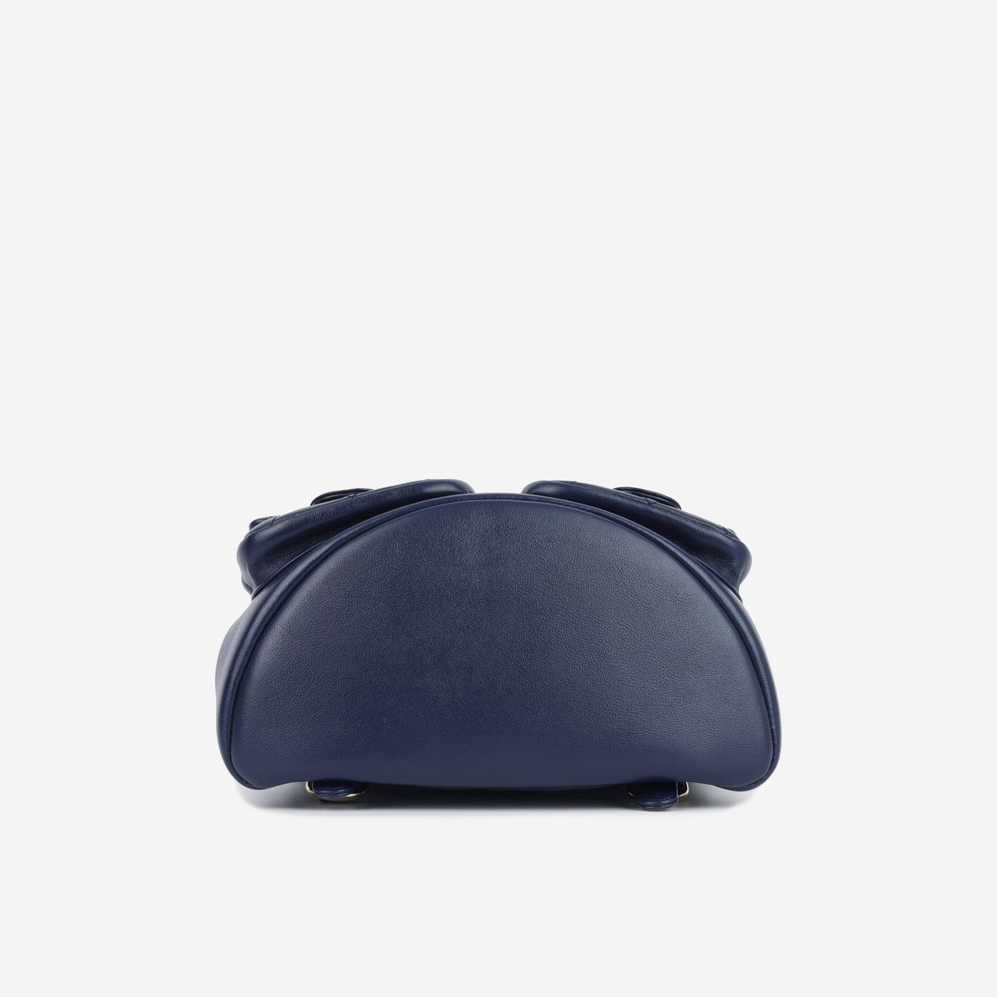 Chanel Luxury Lambskin Gold Backpack Lambskin