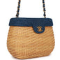 Chanel Luxury Leather Gold Handbag Leather