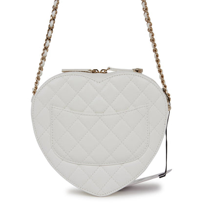 Chanel Luxury Lambskin Gold Handbag Lambskin