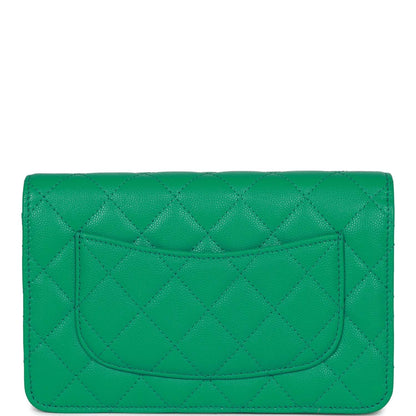 Chanel Wallet On Chain WOC Green Caviar Light Gold Hardware