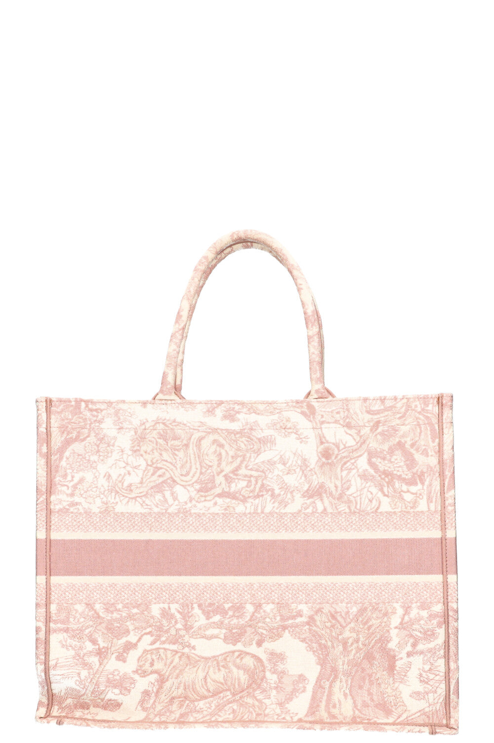 Dior Book Tote Mini Canvas Tote Bag
