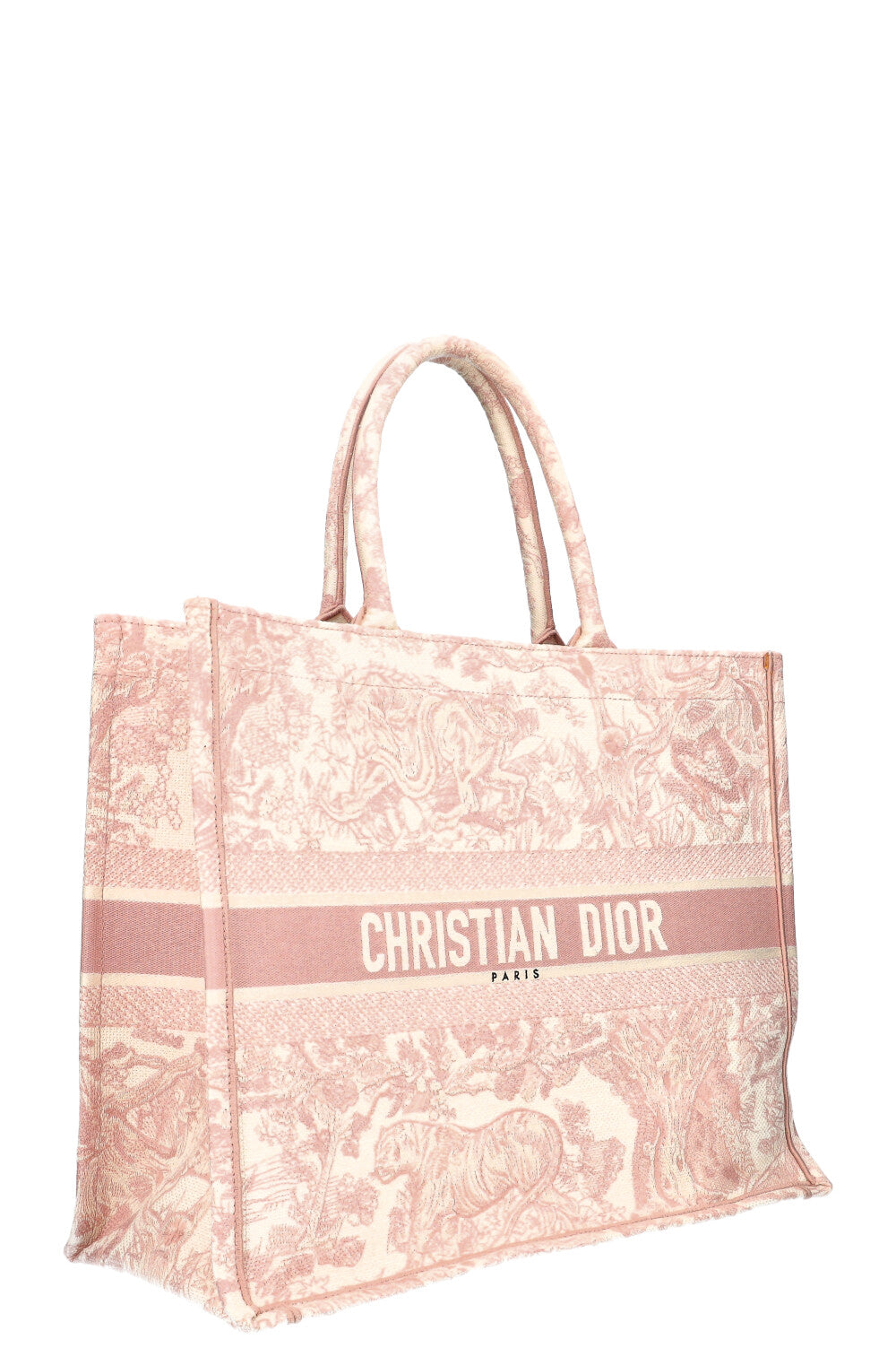 Dior Book Tote Mini Canvas Tote Bag