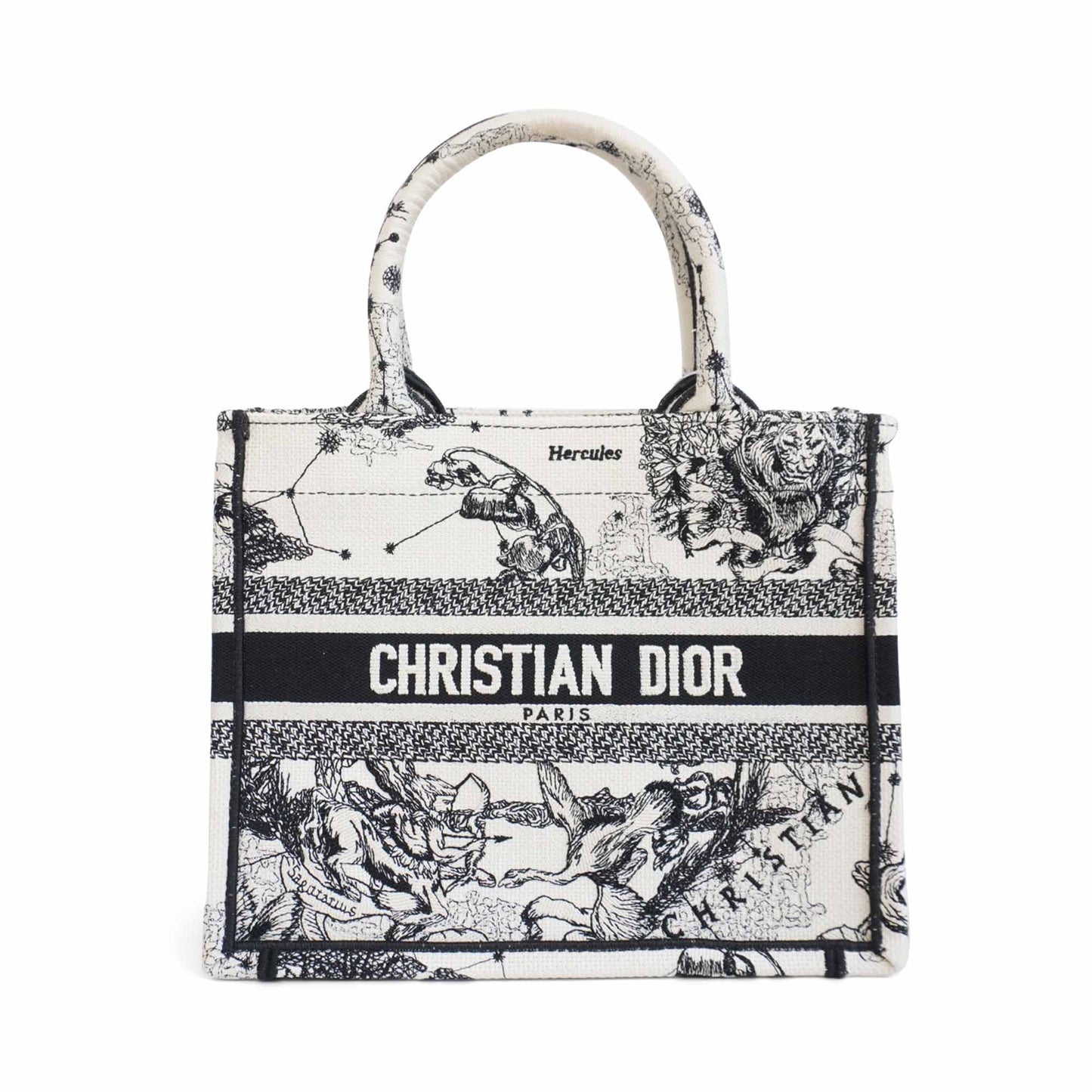 Dior Book Tote Canvas Tote Bag