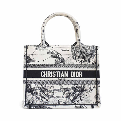 Dior Book Tote Canvas Tote Bag