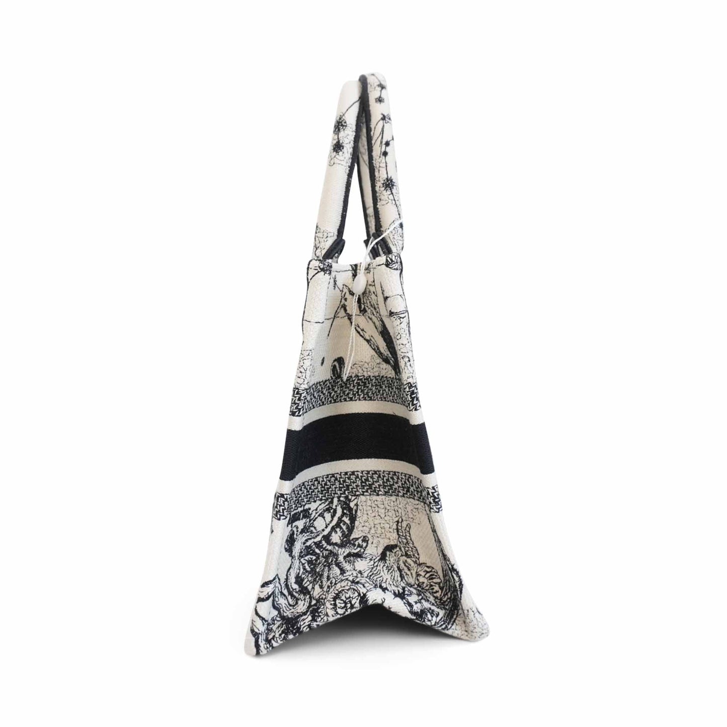 Dior Book Tote Canvas Tote Bag