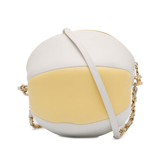 Chanel Calfskin Luxury Handbag Style 4