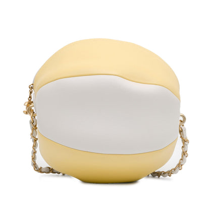 Chanel Calfskin Luxury Handbag Style 2