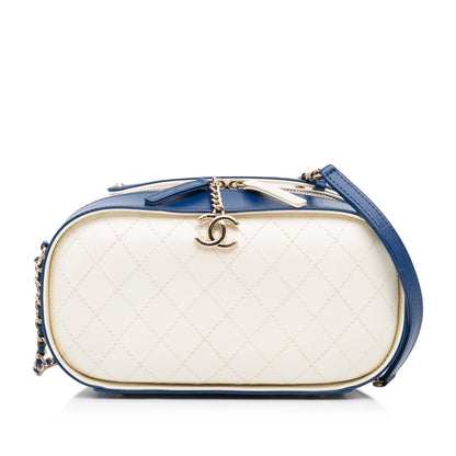 Chanel Luxury Handbag Style 29