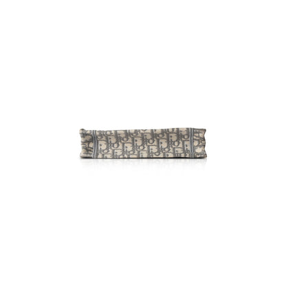 Christian Dior 2020 Oblique Mini Book Tote