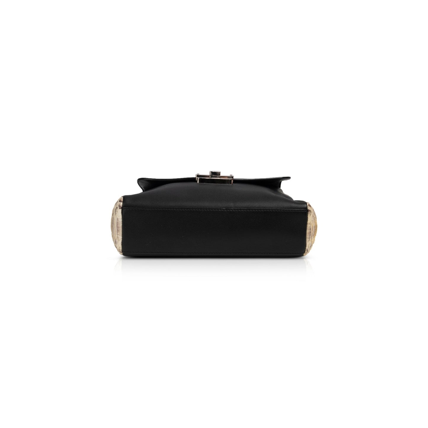 Christian Dior Python-Trimmed Diorling Bag