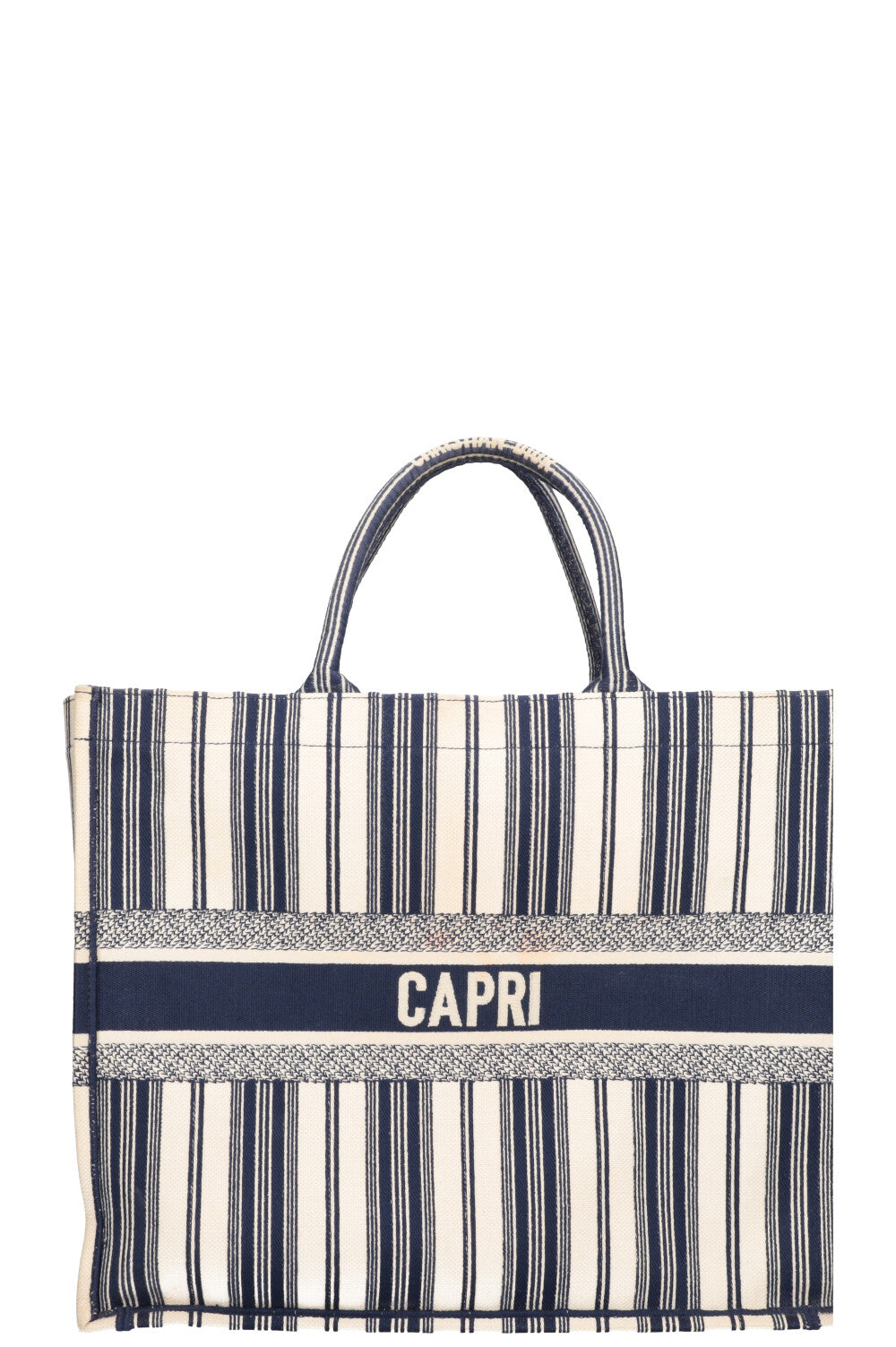 Dior Book Tote Mini Canvas Tote Bag