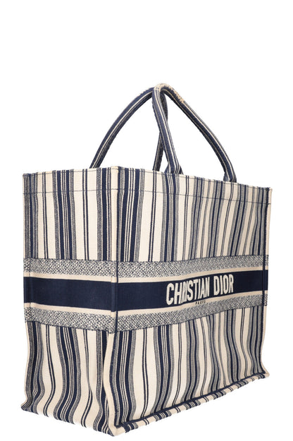 Dior Book Tote Mini Canvas Tote Bag