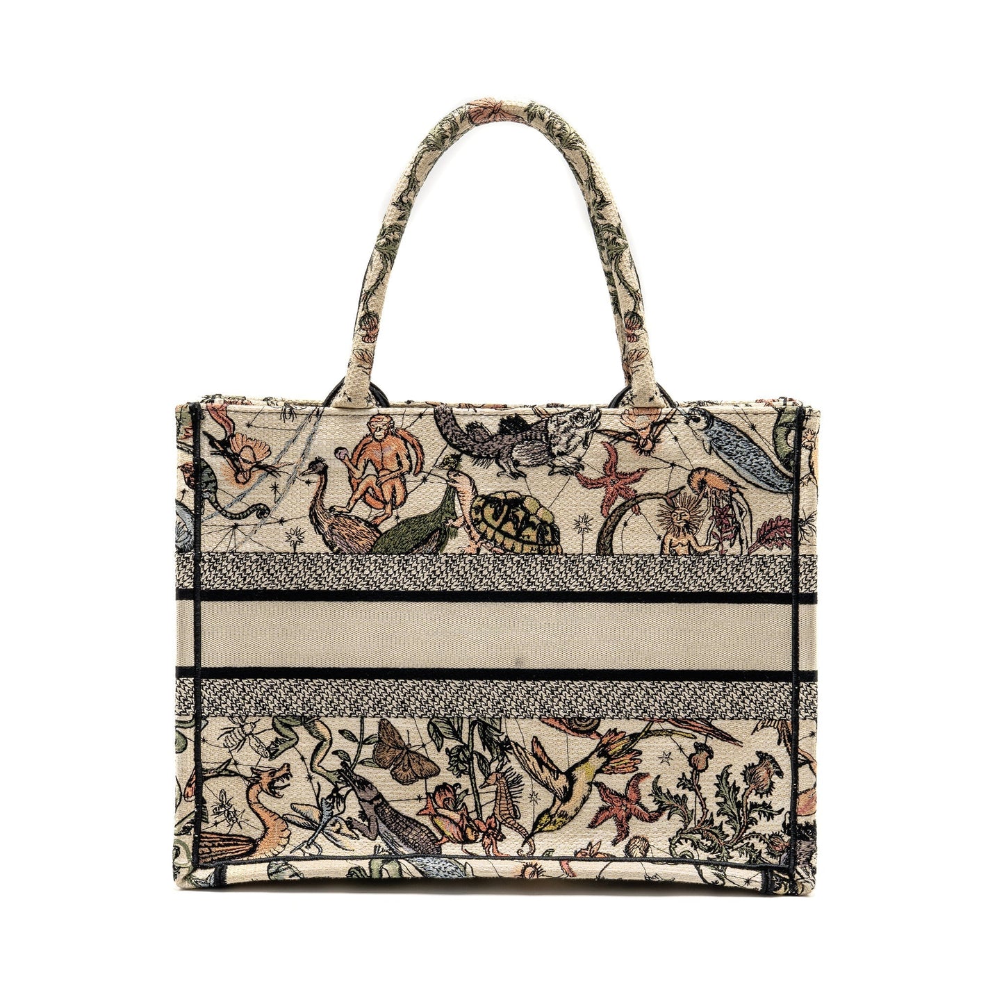 Dior Medium Book Tote Embroidery Canvas Multicolour