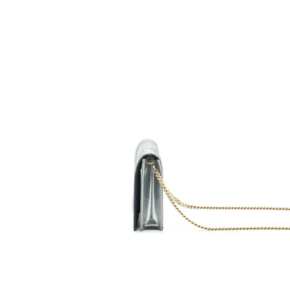 Dior Diorama Wallet on Chain Metallic Silver