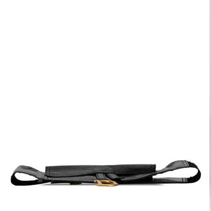 Dior Crinkled Lambskin Saddle Belt Bag
