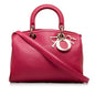 Dior Leather Satchel (SHG-IGGoTx)