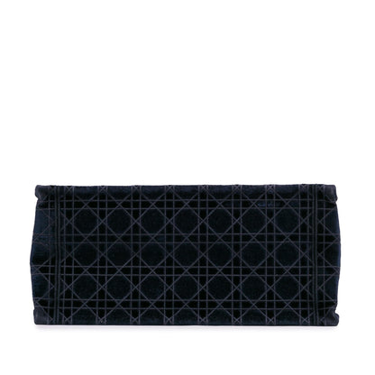 Dior Medium Cannage Embroidered Book Tote (SHG-fvzewU)