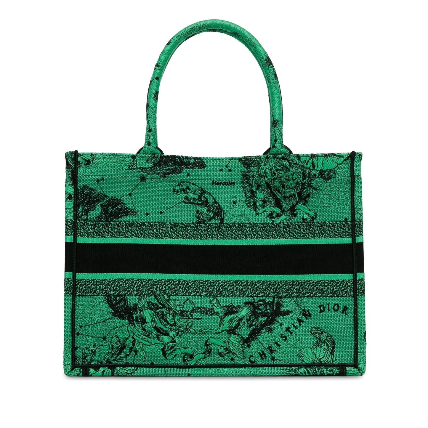 Dior Medium Embroidered Canvas Book Tote